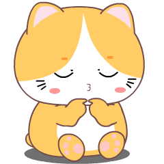 Baby Yellow Cat : Th