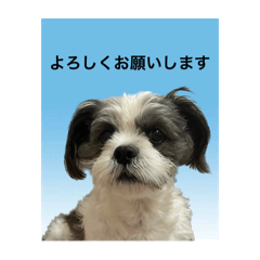 aoi_20250417201224