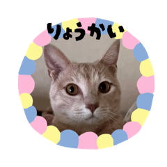 haru_20250417200723