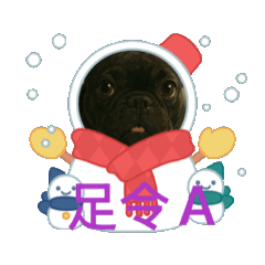 黑妞日常生活