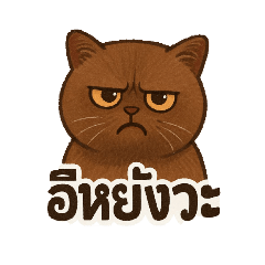 Butsaya_20250412202928
