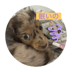 kiki_20250418094350