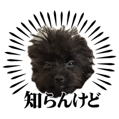 blacky_2