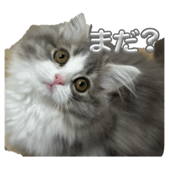 AIRI_20250418103357