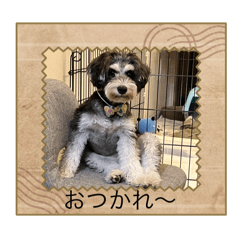 rei_20250418114828