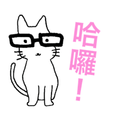 Miumiu Cat