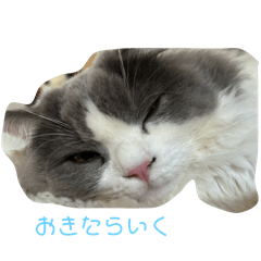 Ryu_20250417204028