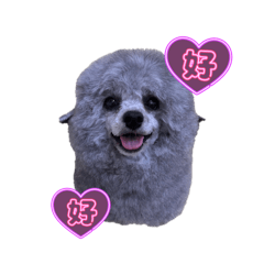 yuki_20250417205554