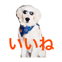 yu_20250418111731
