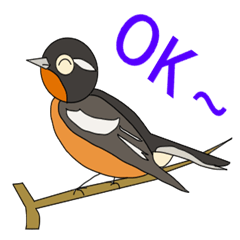Bird watcher conversation part2