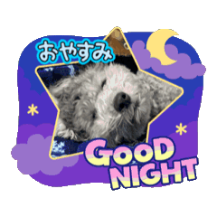 Sayuri_20250418125355