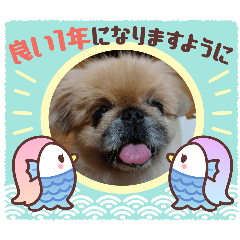 maron_20250418132703