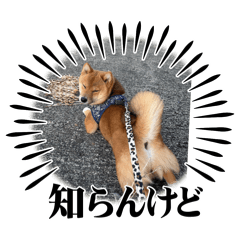 Rika_20250418135052