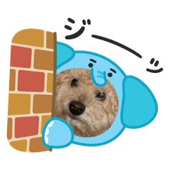 MOGUMOGU_20250418140735