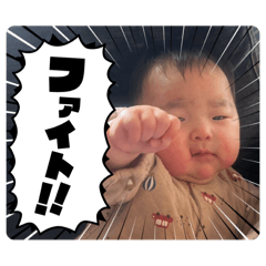 piyo_20250418043649