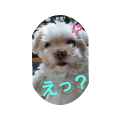 jk_20250418122024