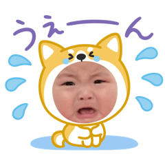 tomo_20250418123155