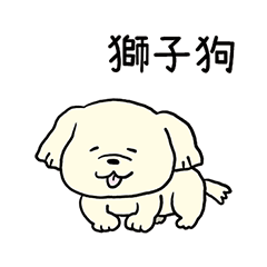 獅子狗"PEKIO" 台灣版