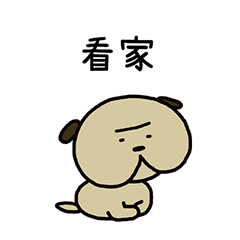 哈巴狗"PUNKICHI"看守家門 台灣版