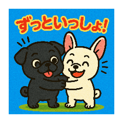 a black pug and a French bulldog