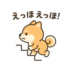 ryo_20250418023210