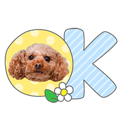 StampNo:5229