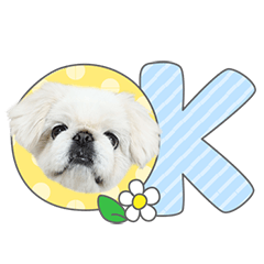 StampNo:5223