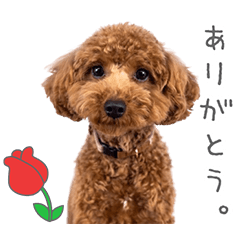 StampNo:5233