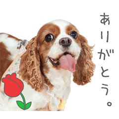 StampNo:5239