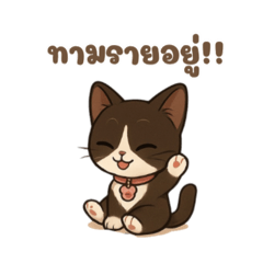 FAFA Chibi Cat