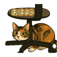 taka_20250417195259