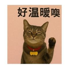 happy妹妹