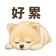 多比要吃飯