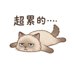 阿呆咪有話要說