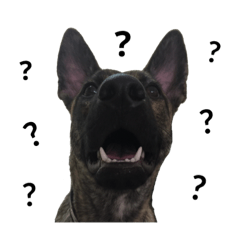 癢癢的五福臨門