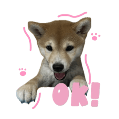 阿布萬用貼圖！
