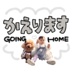 bibi_20250417191634