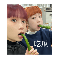 小貓小狗出國了啦