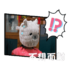 雙寶日常表情