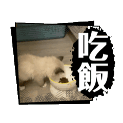 栗子蛋糕好吃喔