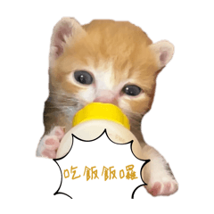麻糬寶包一歲囉～
