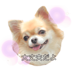 azu_20250418204310