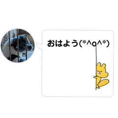yui_202504