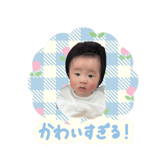 Mako_20250418162548