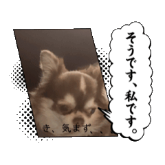 ema_20250418163450