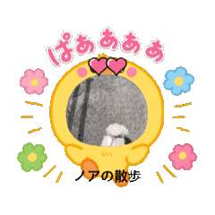 ma_20250418182231