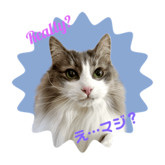 KAORU_20250418190102