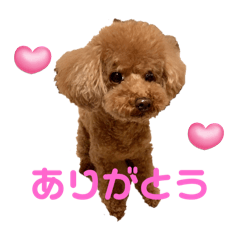 Miho_20250418101613