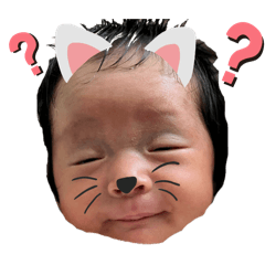 NekotoAoi_20250418222731