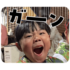 momo_20250418202256